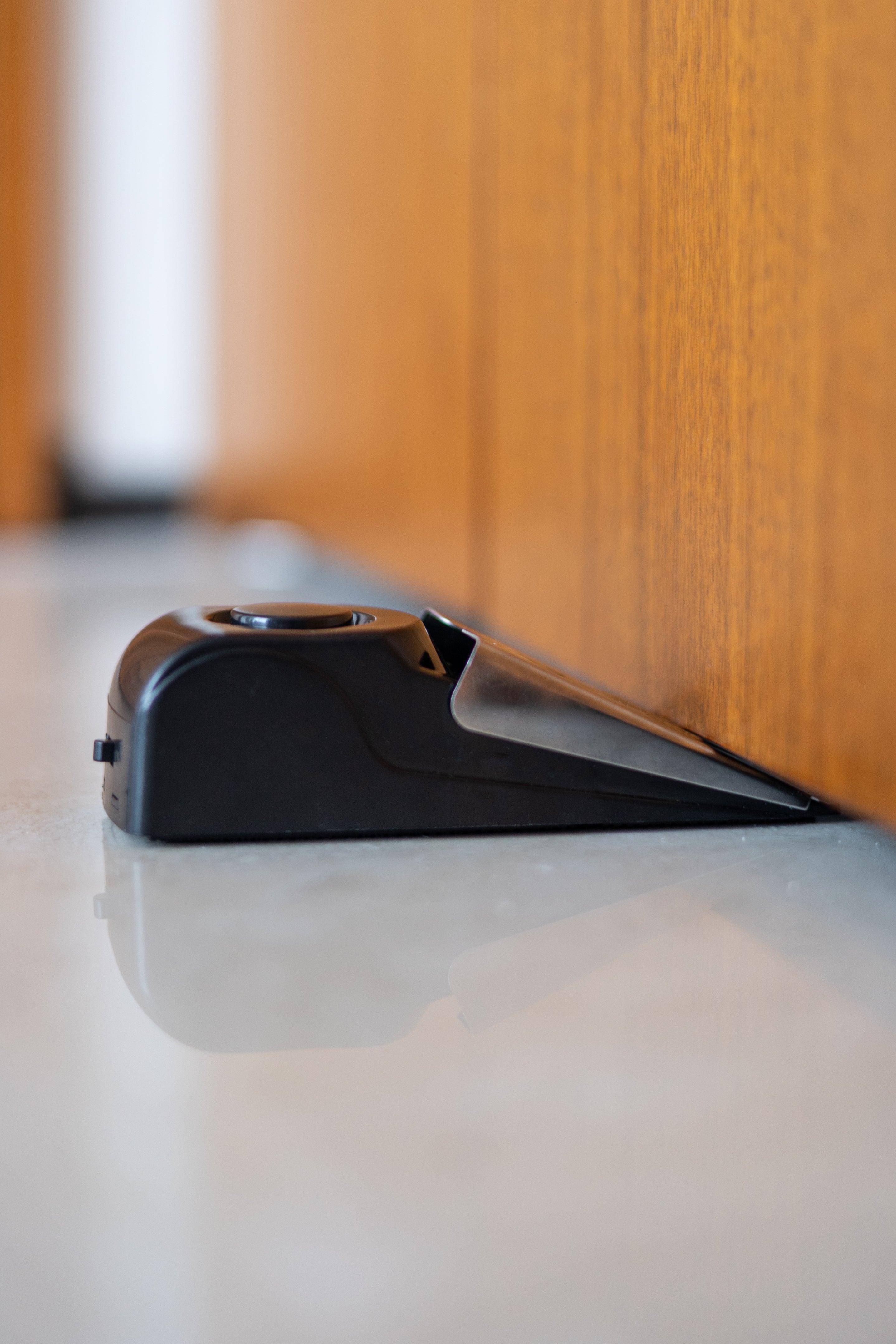Safety door alarm